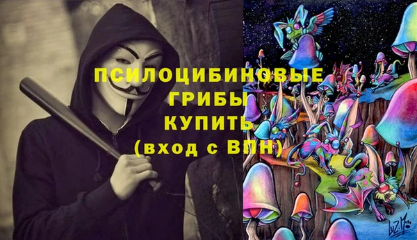 скорость Пересвет