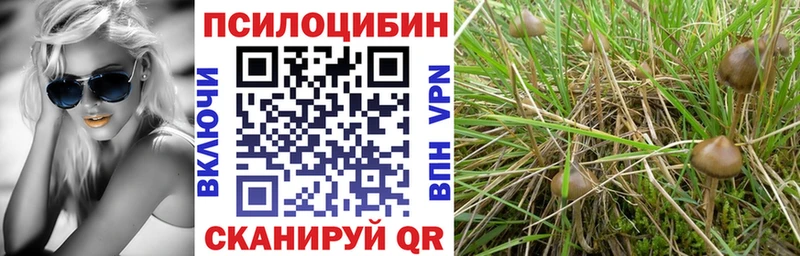 Псилоцибиновые грибы Magic Shrooms  mega зеркало  Приморско-Ахтарск 