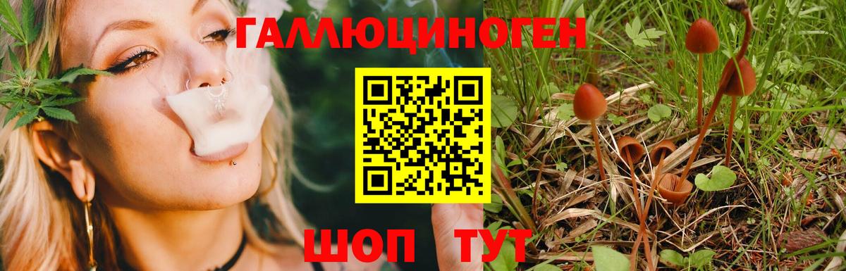 Псилоцибиновые грибы мицелий  Вход с VPN  как найти закладки  Приморско-Ахтарск 